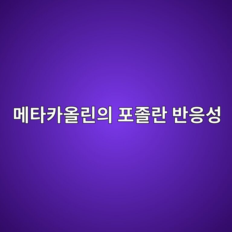 eba994ed8380ecb9b4ec98aceba6b0ec9d98 ed8faceca1b8eb9e80 ebb098ec9d91ec84b1 1788084648
