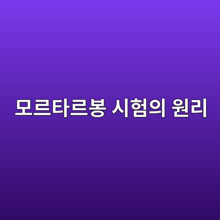ebaaa8eba5b4ed8380eba5b4ebb489 ec8b9ced9798ec9d98 ec9b90eba6ac 1787980041