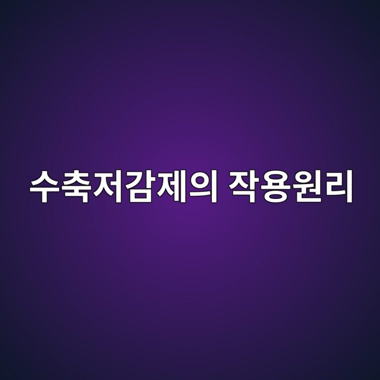 ec8898ecb695eca080eab090eca09cec9d98 ec9e91ec9aa9ec9b90eba6ac 1788256091