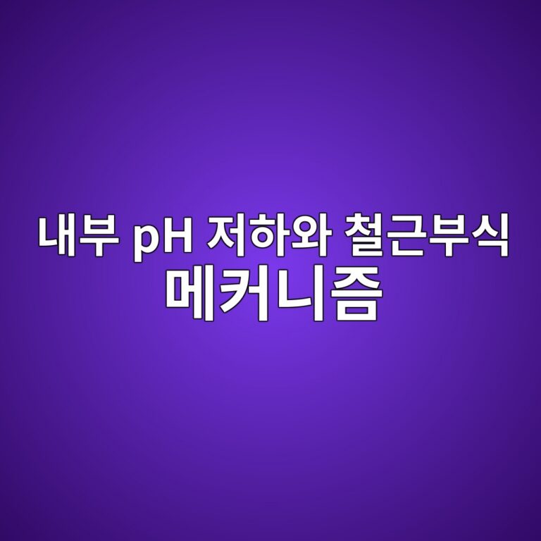 eb82b4ebb680 ph eca080ed9598ec9980 ecb2a0eab7bcebb680ec8b9d eba994ecbba4eb8b88eca698 1791418726