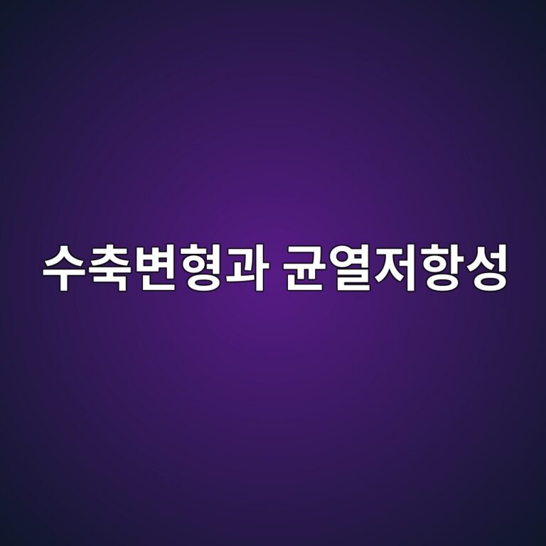ec8898ecb695ebb380ed9895eab3bc eab7a0ec97b4eca080ed95adec84b1 1791118428